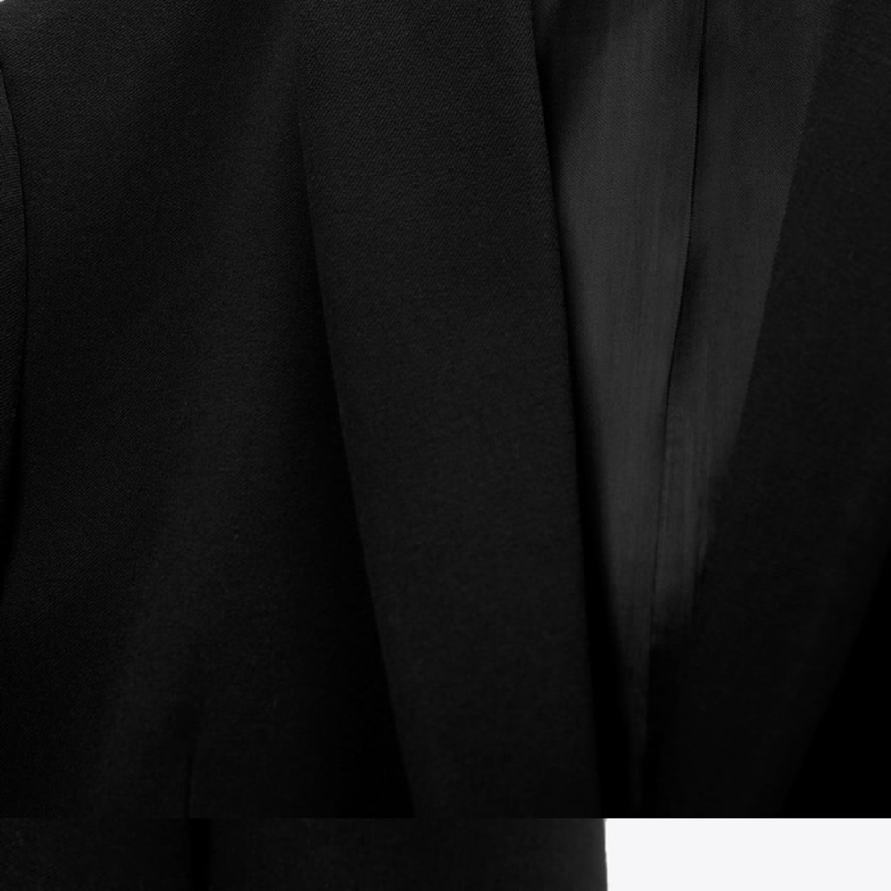 “Last one”ZARA BLOGGERS FAV FEATHER TRIM BLAZER - Picture 14 of 16